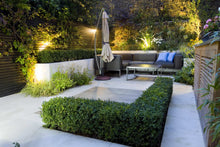 AlderMax 3W 12V LED Garden  Light Bundle / Kit / Set - Any No. of Lights